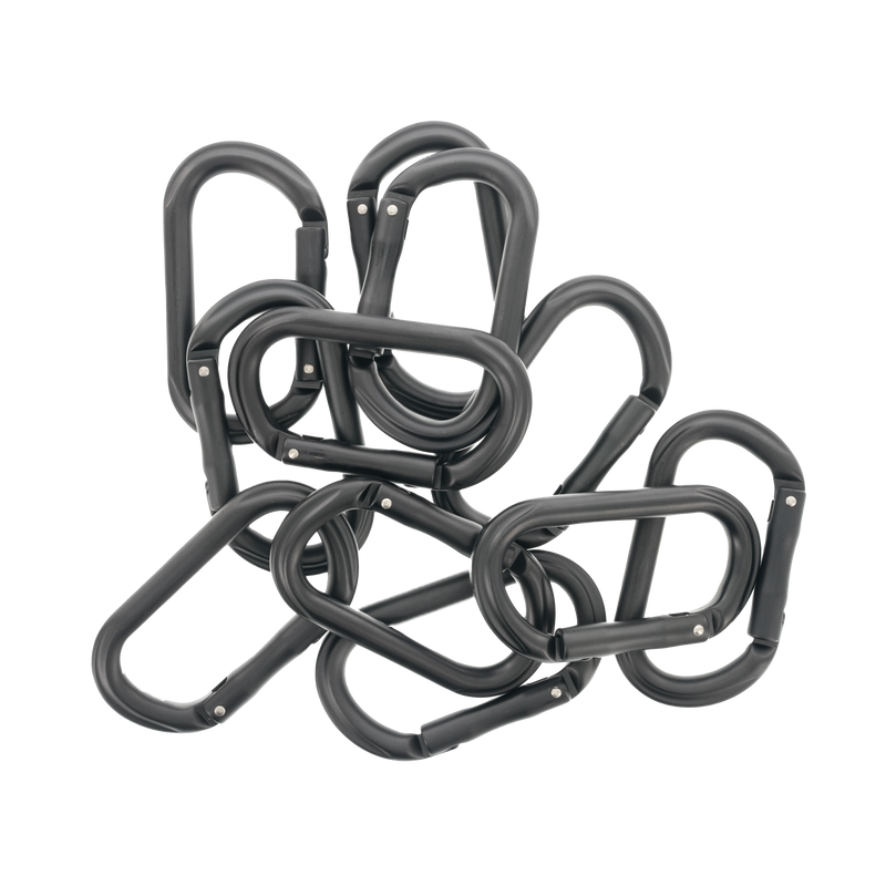 Carabiner (Individual)