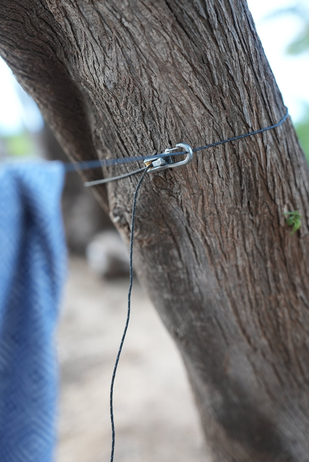 How Efficient Is Your Camp Setup Routine?