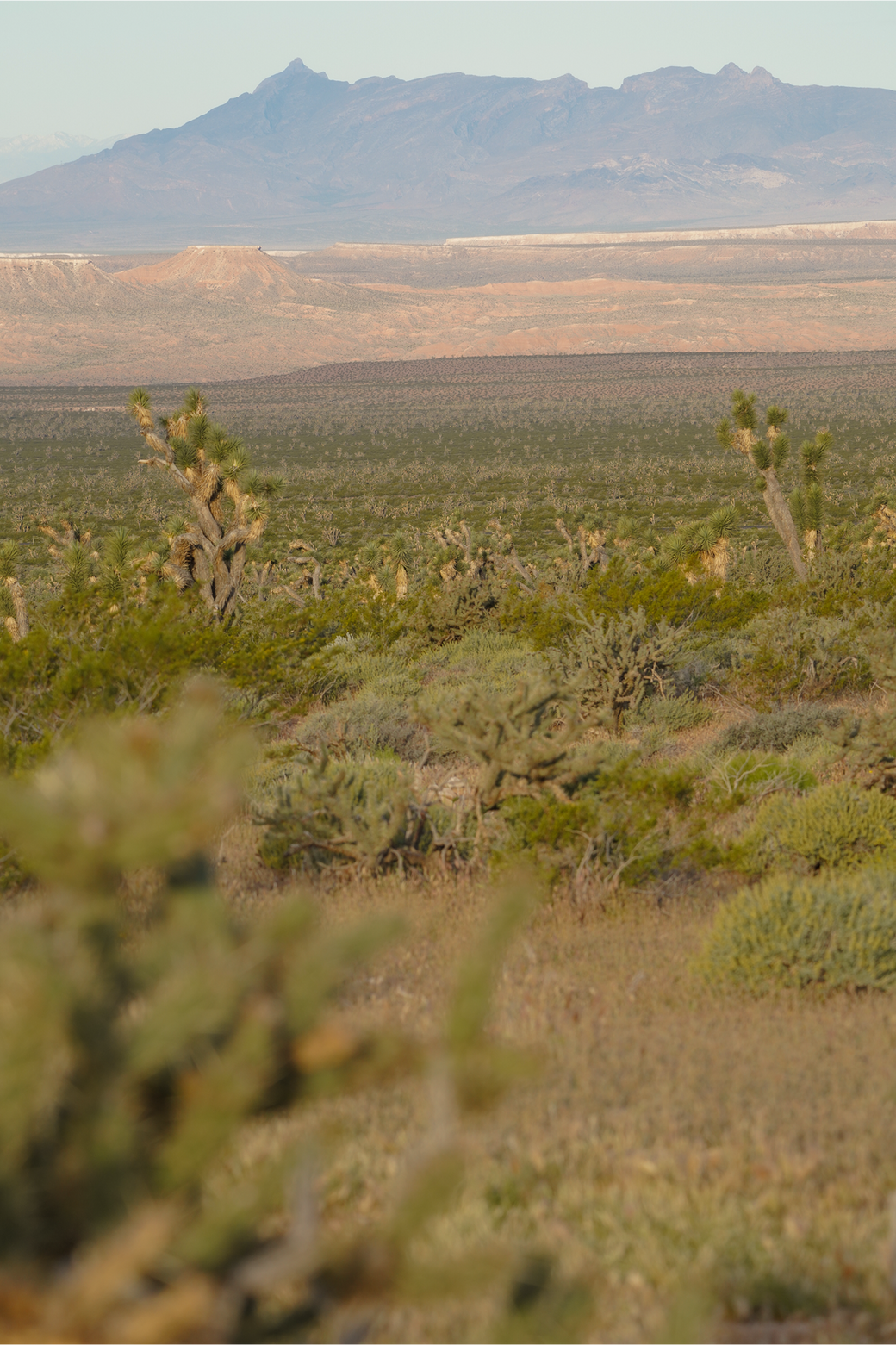Thoughts from Rollercam HQ on Exploring the Outdoors