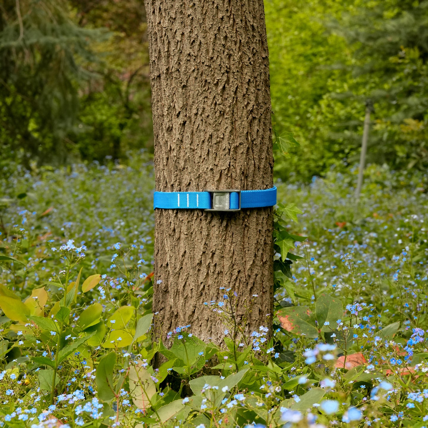 Limited Edition: 1.0" Electric Blue
