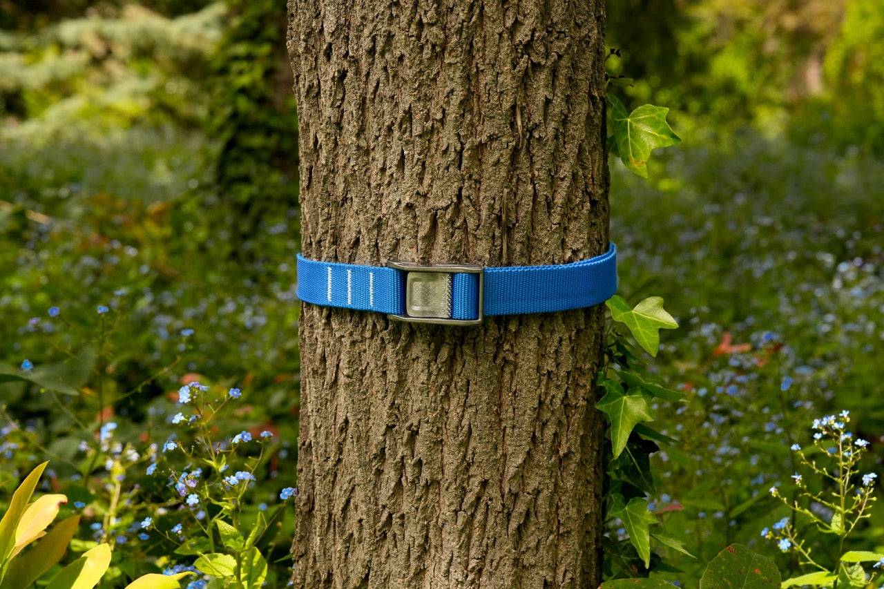 Limited Edition: 1.0" Electric Blue