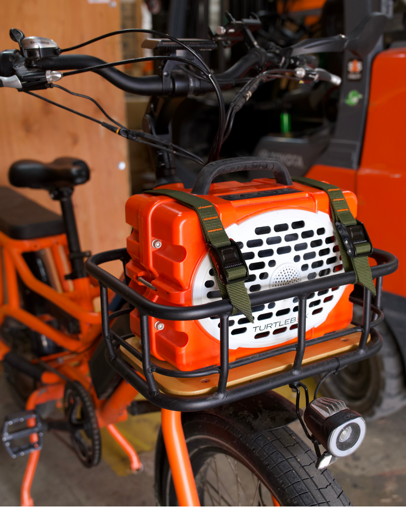 Limited Edition: 0.75" Forest Green